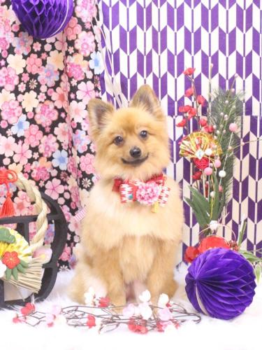 20250128ららちゃん